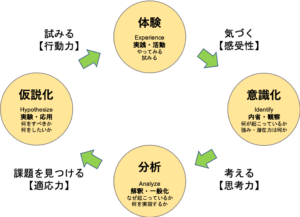 体験学習の循環過程